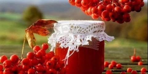 Džem od crvenog rowan kod kuće